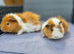 Bonded boars