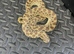 Red line Hognose female