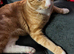 Male 4 year old