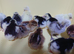 VACCINATED  CHICKS hatched fortnightly