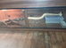 Male sunglow boa