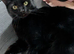 2 year old for rehoming
