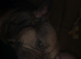 Male French bulldog