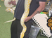 Albino Burmese python