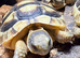 Marginated Tortoises at Birmingham Reptiles