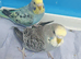 2 Baby budgies for sale with cage