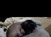 Hairless Chinese crested girl