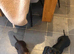 Dachshund Duo Talulah and Theo must go together
