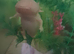 2 axolotl with tank