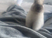 New Zealand 7 month old rabbit