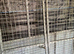 Galvanized gate 5ft by 6 ft