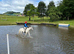 Lovely 13.1 grey gelding, 11 years old