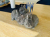 **TINY**Netherland dwarf rabbits