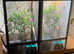 Yemen Chameleon + Vivarium Setup Kit