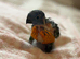 Hand-Reared Rainbow Lorikeets