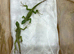 Fiji iguana