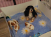 Kc Reg Cavalier King Charles Spaniel puppies