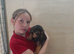Bloodhound Puppies