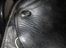 Dressage saddle
