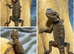 STUNNING BEARDIES- JUNE 12th