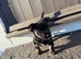 scottish terrier Puppy 2 boys