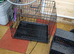 Medium metal crate and steps