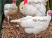 Harvey Speckled Turkey Trio