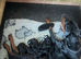 Beautiful Doberman puppies