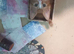 1 ginger female kitten