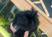 These 3 beauty
