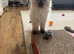 Purebred Male Ragdolls! Ready Now!