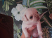 Reduced!!!Pug litter