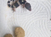 Beautiful leopard gecko babies x2