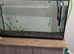 350 l Customized heavy duty glass fish tank with 4 dollar fishes