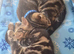Two kittens