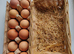 Chicken eggs for hatching in London