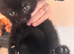 Kittens for sale