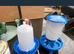 Poultry /bird feeders
