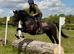 Stunning 5yr old gelding for sale