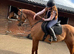 Stunning 16.2hh 7 TB &ndash; Genuine Jumping Prospect / All-Rounder