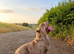 English bulldog girl- Runs On Dreams – Available