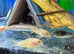 Tropical fish&rsquo;s for sale many type