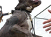 The best Puppiesin the UK