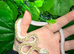 White Sided Black Rat Snake at Birmingham Reptiles