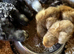 Silkie-Orpington-Easter Egger-Americana-Olive Egger-chicks etc