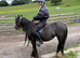 5 year old 12&rsquo;2 mare