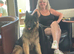 Long haired German shepherd male