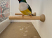 2024 Gouldian Finch Cock Bird