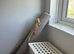 Female bearded dragon