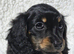 Last 3 Girls Available from 7th July